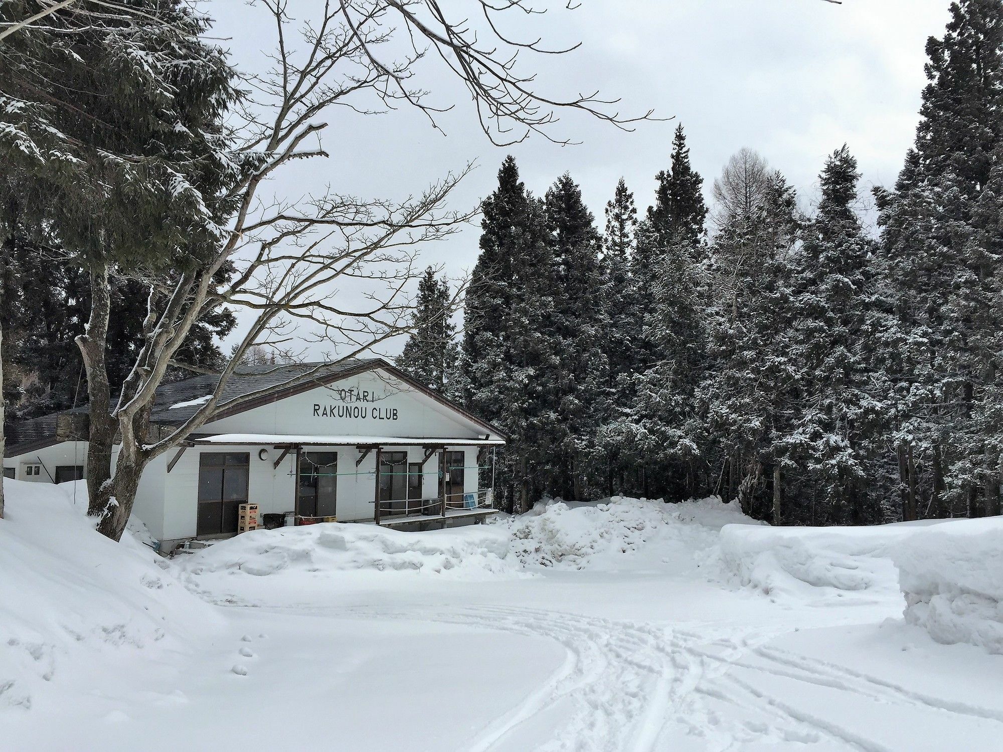 Pension Hobby Hakuba Norikura Otari Esterno foto